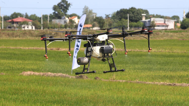 Çeltik tarlaları insansız hava araçlarıyla artık ilaçlanıyor